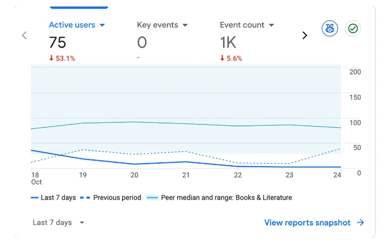 Google Analytics active users, 18–24 October: 75, down 53.1%.
