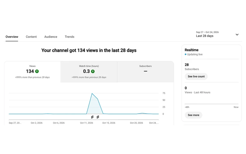 YouTube analytics, 27 September–24 October: 134 views, 0.3 watch hours and 28 current subscribers.